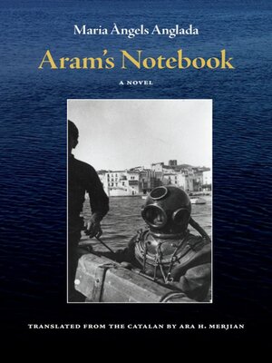 cover image of Aram's Notebook